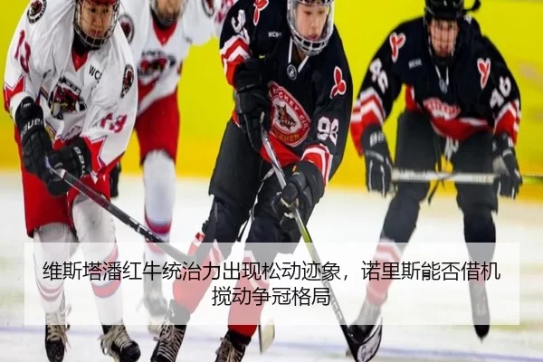 维斯塔潘红牛统治力出现松动迹象，诺里斯能否借机搅动争冠格局